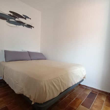Apartaments 콜레라 외부 사진